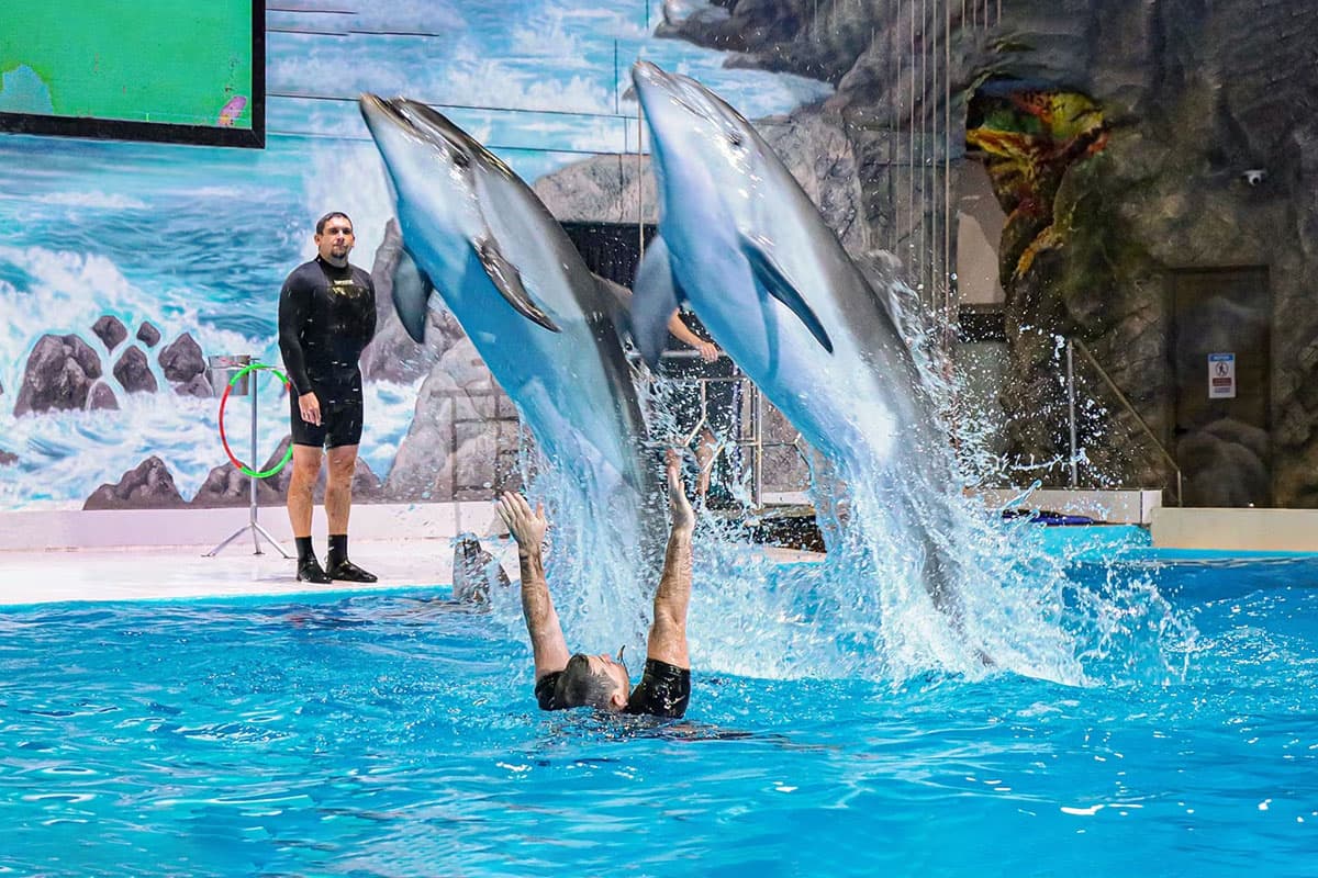 Activities Images