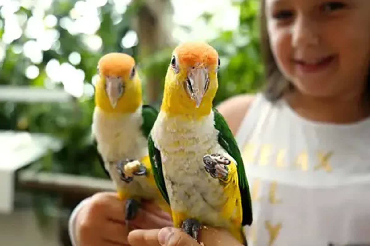 Activities Images