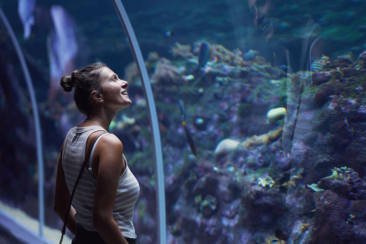 National Aquarium Abu Dhabi: Book Tickets Online