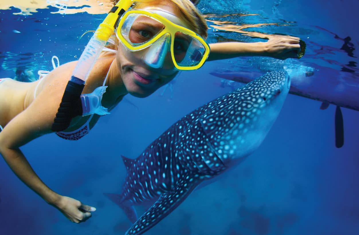 Activities Images