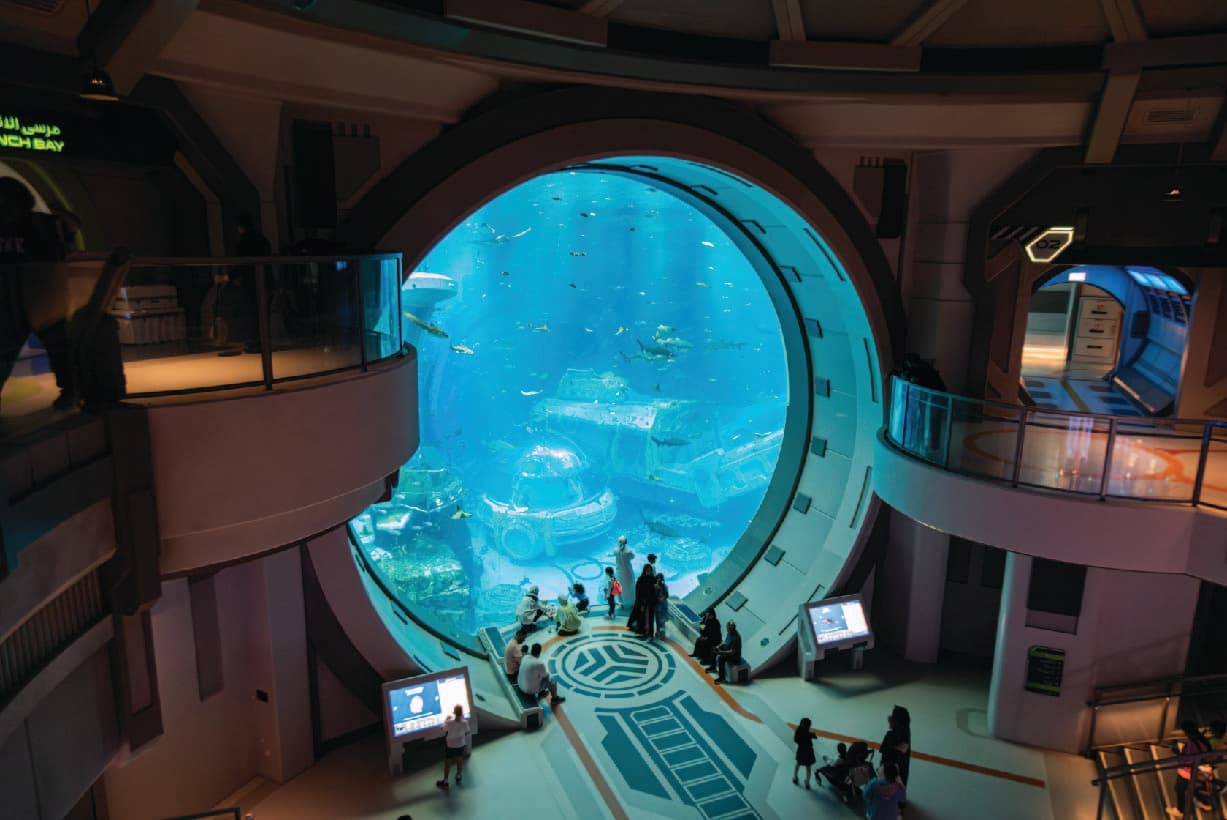 Kids love SeaWorld Abu Dhabi
