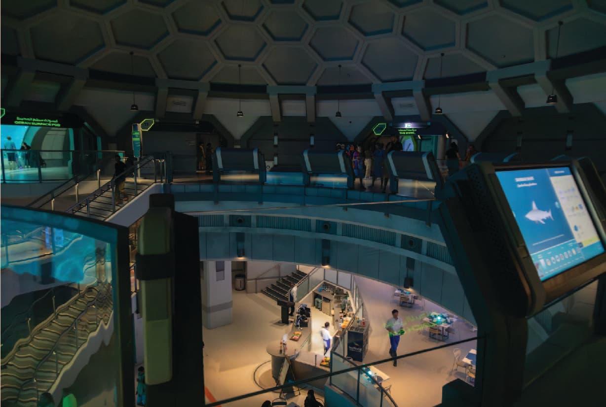 The Plan: An Optimal Day Should be at SeaWorld Abu Dhabi