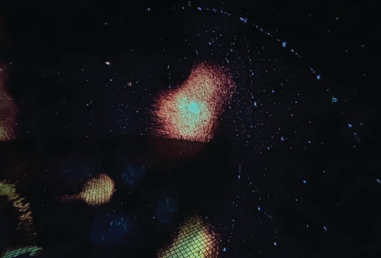 Slide 5