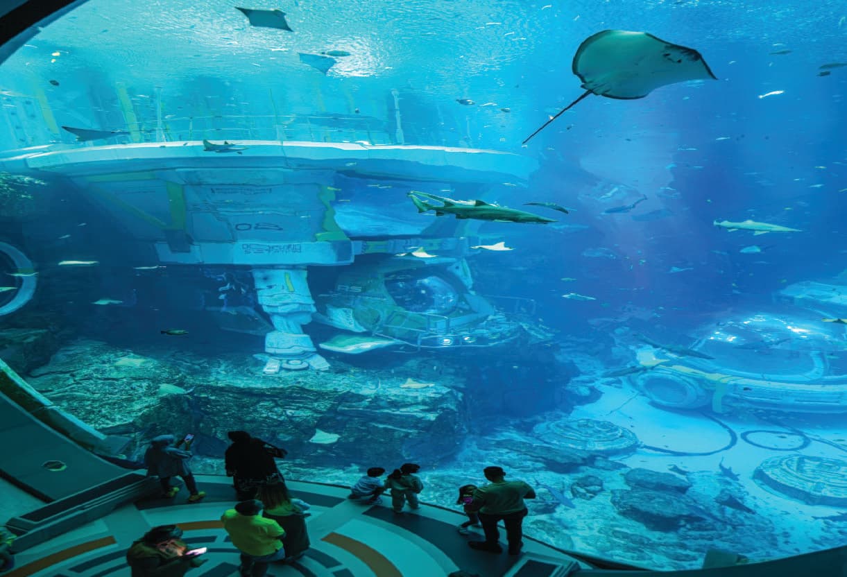 SeaWorld Abu Dhabi: Immerse in the Base of the UAE Sea Magic