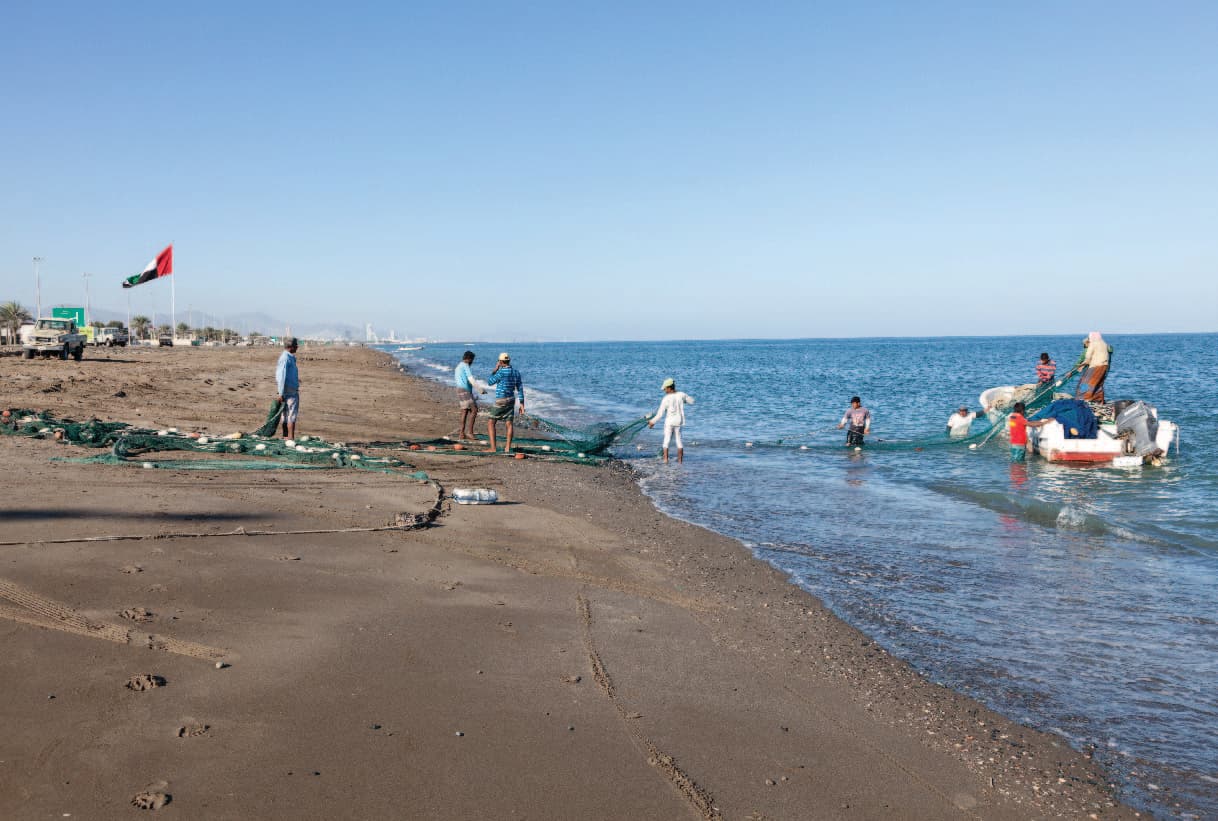 Activities Images