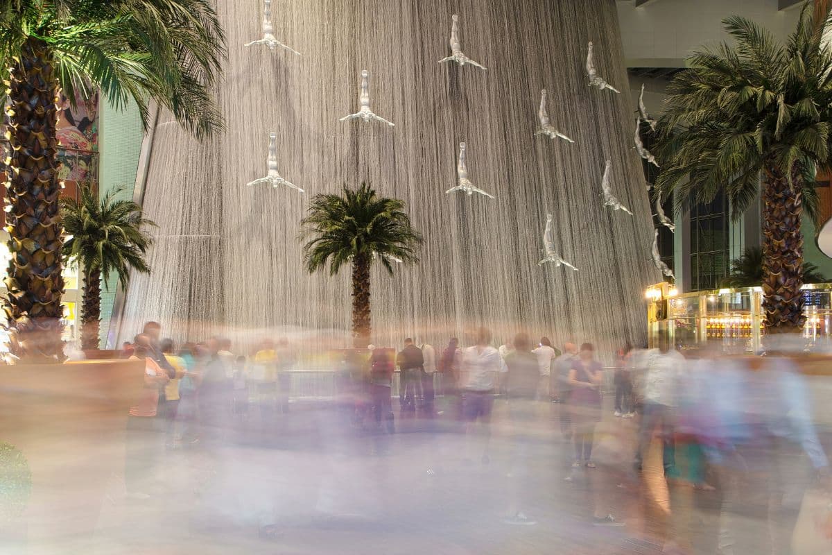 Explore The Dubai Mall Attractions
